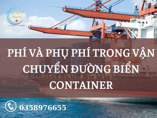 Phí và phụ phí trong vận chuyển đường biển container